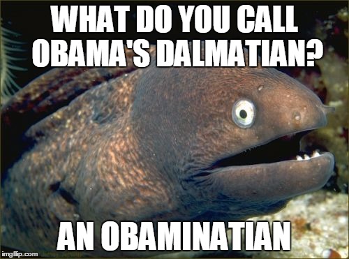 Bad Joke Eel | WHAT DO YOU CALL OBAMA'S DALMATIAN? AN OBAMINATIAN | image tagged in memes,bad joke eel | made w/ Imgflip meme maker