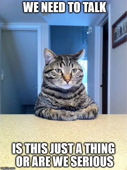We need to talk | WE NEED TO TALK; IS THIS JUST A THING OR ARE WE SERIOUS | image tagged in memes,take a seat cat,cat,animals,we need to talk | made w/ Imgflip meme maker