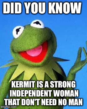 Kermit the Frog Meme | DID YOU KNOW; KERMIT IS A STRONG INDEPENDENT WOMAN THAT DON'T NEED NO MAN | image tagged in kermit the frog meme | made w/ Imgflip meme maker