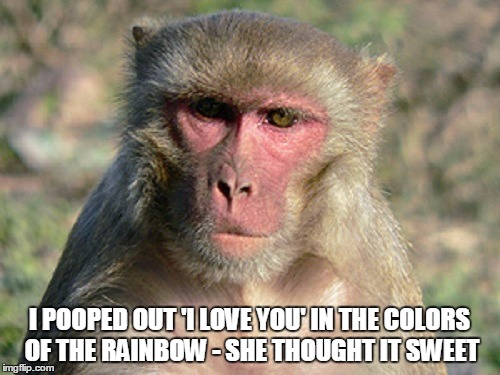 I POOPED OUT 'I LOVE YOU' IN THE COLORS OF THE RAINBOW - SHE THOUGHT IT SWEET | made w/ Imgflip meme maker