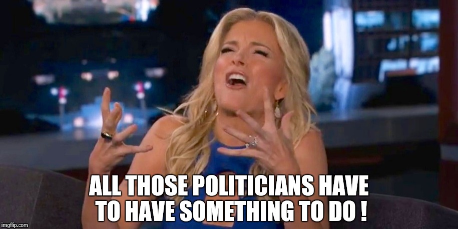 Megan Kelley | ALL THOSE POLITICIANS HAVE TO HAVE SOMETHING TO DO ! | image tagged in megan kelley | made w/ Imgflip meme maker