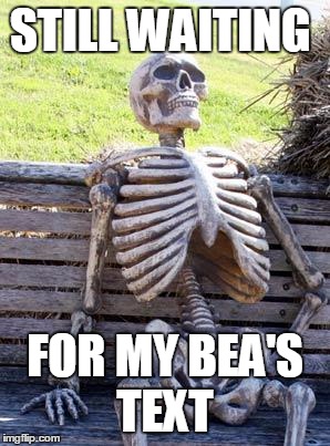 Waiting Skeleton | STILL WAITING; FOR MY BEA'S TEXT | image tagged in memes,waiting skeleton | made w/ Imgflip meme maker