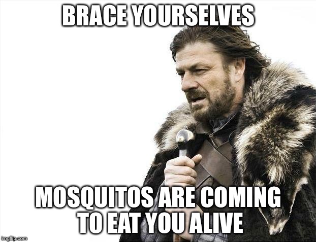 At least where I am | BRACE YOURSELVES; MOSQUITOS ARE COMING TO EAT YOU ALIVE | image tagged in memes,brace yourselves x is coming | made w/ Imgflip meme maker