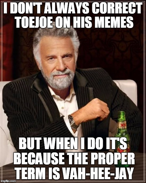 The Most Interesting Man In The World Meme | I DON'T ALWAYS CORRECT TOEJOE ON HIS MEMES BUT WHEN I DO IT'S BECAUSE THE PROPER TERM IS VAH-HEE-JAY | image tagged in memes,the most interesting man in the world | made w/ Imgflip meme maker