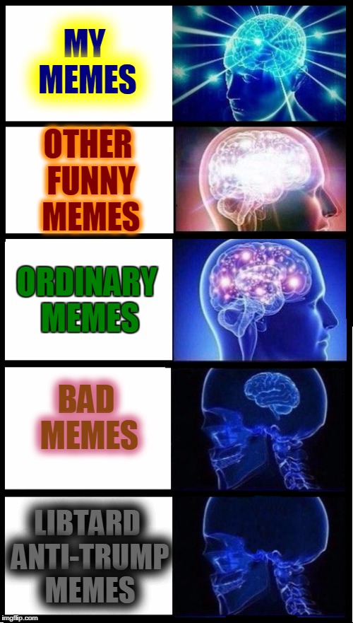 The Hierarchy of Meme | MY MEMES; OTHER FUNNY MEMES; ORDINARY MEMES; BAD MEMES; LIBTARD ANTI-TRUMP MEMES | image tagged in memes,funny | made w/ Imgflip meme maker