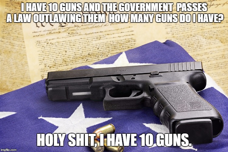 gun constitution | I HAVE 1O GUNS AND THE GOVERNMENT  PASSES A LAW OUTLAWING THEM  HOW MANY GUNS DO I HAVE? HOLY SHIT, I HAVE 10 GUNS. | image tagged in gun constitution | made w/ Imgflip meme maker