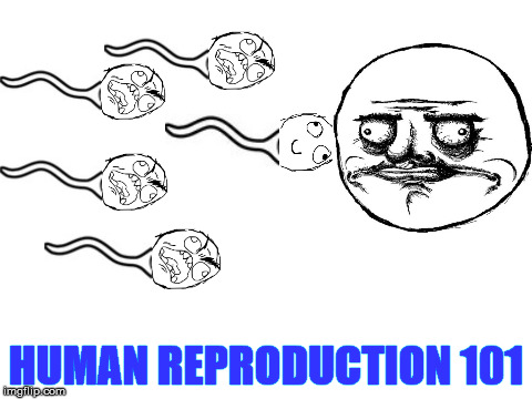 I was taught a slightly different version... | HUMAN REPRODUCTION 101 | image tagged in memes,sperm,sperm and egg,rage face,biology,reproduction | made w/ Imgflip meme maker