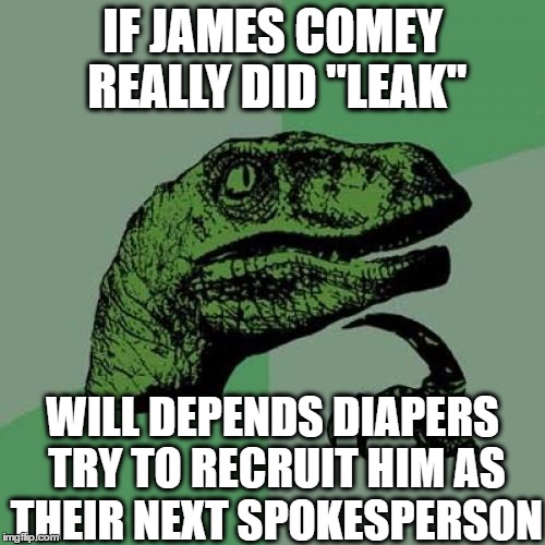 Just a thought | IF JAMES COMEY REALLY DID "LEAK"; WILL DEPENDS DIAPERS TRY TO RECRUIT HIM AS THEIR NEXT SPOKESPERSON | image tagged in memes,philosoraptor | made w/ Imgflip meme maker
