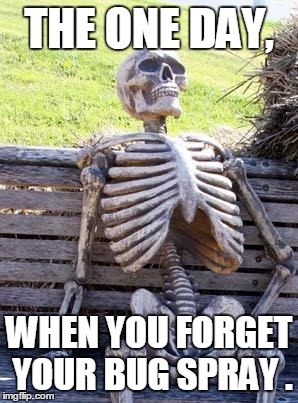 Waiting Skeleton | THE ONE DAY, WHEN YOU FORGET YOUR BUG SPRAY . | image tagged in memes,waiting skeleton | made w/ Imgflip meme maker