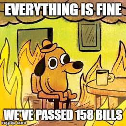 Dog in burning house | EVERYTHING IS FINE; WE'VE PASSED 158 BILLS | image tagged in dog in burning house | made w/ Imgflip meme maker