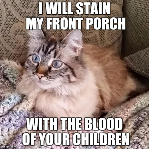 Stain My Porch-Phrytzie | I WILL STAIN MY FRONT PORCH; WITH THE BLOOD OF YOUR CHILDREN | image tagged in cats | made w/ Imgflip meme maker