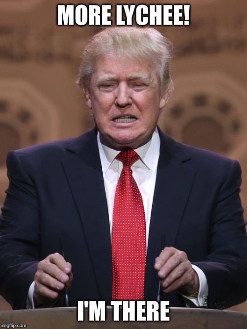 Donald Trump | MORE LYCHEE! I'M THERE | image tagged in donald trump | made w/ Imgflip meme maker