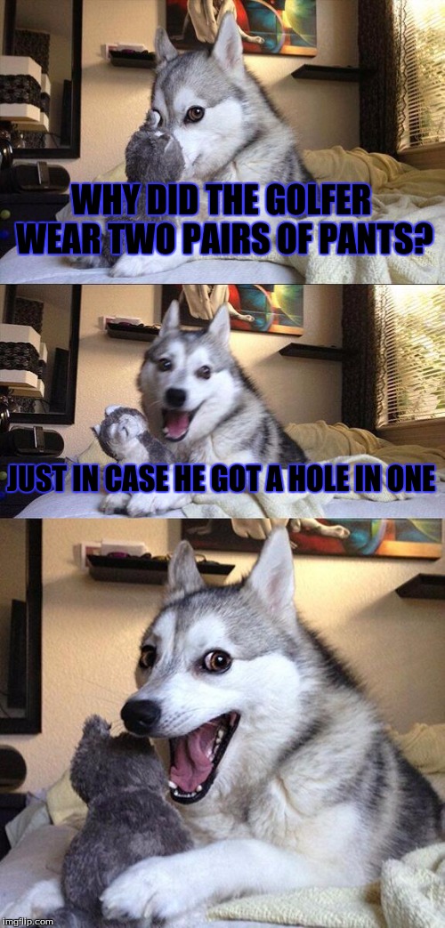 Bad Pun Dog | WHY DID THE GOLFER WEAR TWO PAIRS OF PANTS? JUST IN CASE HE GOT A HOLE IN ONE | image tagged in memes,bad pun dog | made w/ Imgflip meme maker