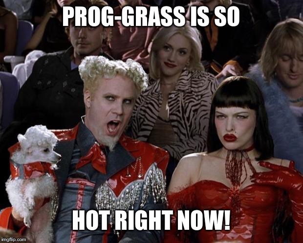 Mugatu So Hot Right Now Meme | PROG-GRASS IS SO; HOT RIGHT NOW! | image tagged in memes,mugatu so hot right now | made w/ Imgflip meme maker