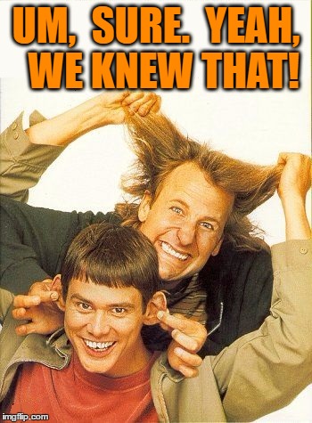 DUMB and dumber | UM,  SURE.  YEAH,  WE KNEW THAT! | image tagged in dumb and dumber | made w/ Imgflip meme maker