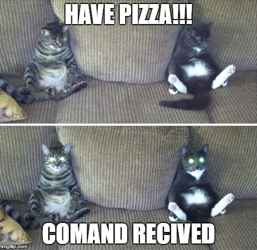 HAVE PIZZA!!! COMAND RECIVED | image tagged in cyborg cats | made w/ Imgflip meme maker