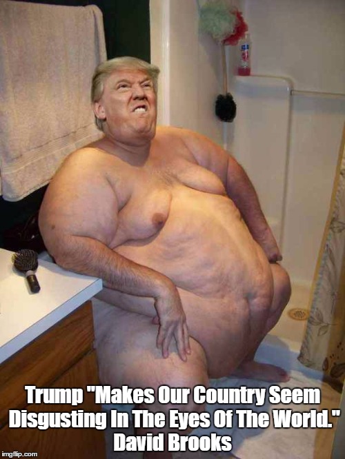 Trump "Makes Our Country Seem Disgusting In The Eyes Of The World." David Brooks | made w/ Imgflip meme maker