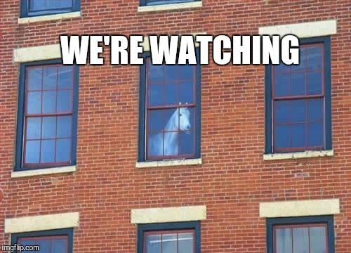 Memes     horse  | WE'RE WATCHING | image tagged in memes     horse | made w/ Imgflip meme maker