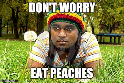 Memes | DON'T WORRY EAT PEACHES | image tagged in memes | made w/ Imgflip meme maker