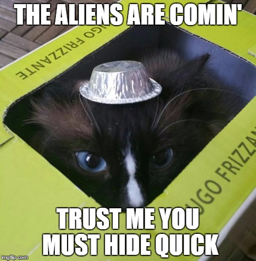 THE ALIENS ARE COMIN'; TRUST ME YOU MUST HIDE QUICK | image tagged in tin hat cat | made w/ Imgflip meme maker