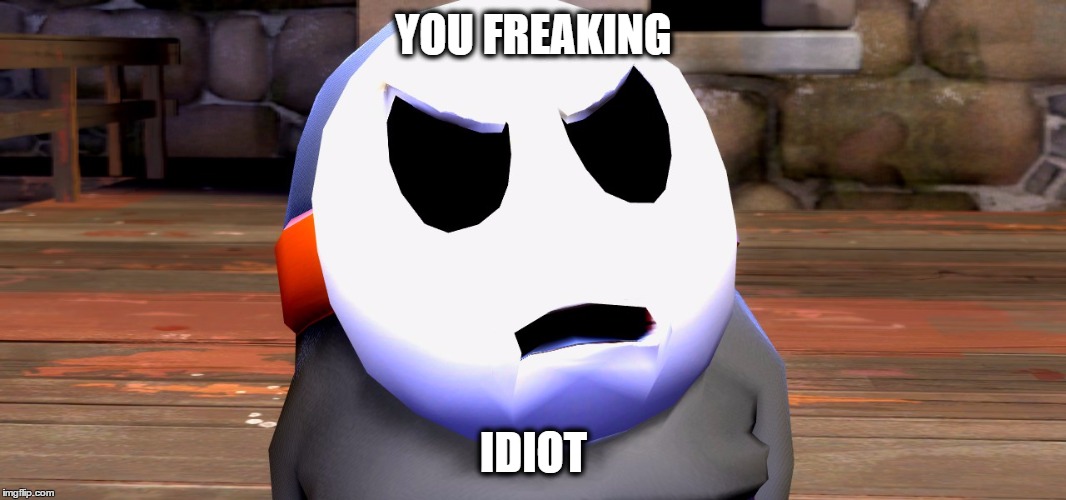 Shy Guy Is Not Amused | YOU FREAKING; IDIOT | image tagged in shyguy,gmod | made w/ Imgflip meme maker