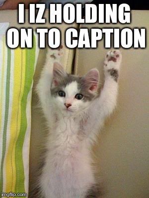 Hands up kitten | I IZ HOLDING ON TO CAPTION | image tagged in hands up kitten | made w/ Imgflip meme maker