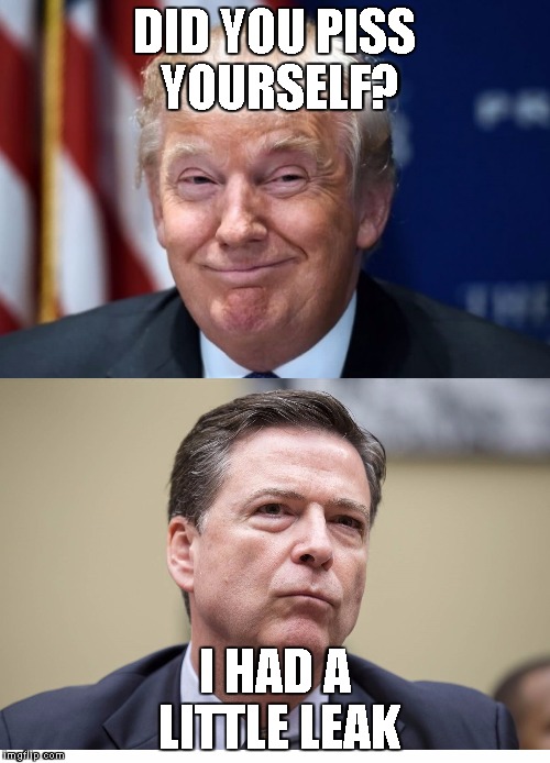 Trump Hopes and Comey Interprets as Directive | DID YOU PISS YOURSELF? I HAD A LITTLE LEAK | image tagged in trump hopes and comey interprets as directive | made w/ Imgflip meme maker