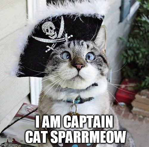 I AM CAPTAIN CAT SPARRMEOW | made w/ Imgflip meme maker