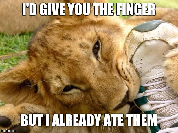 When you can't eat just 1. Eat all 10 ! | I'D GIVE YOU THE FINGER BUT I ALREADY ATE THEM | image tagged in quite a feat | made w/ Imgflip meme maker