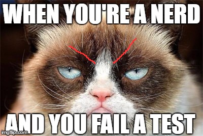 A+ student? | WHEN YOU'RE A NERD; AND YOU FAIL A TEST | image tagged in grumpy cat,lol,are you serious | made w/ Imgflip meme maker