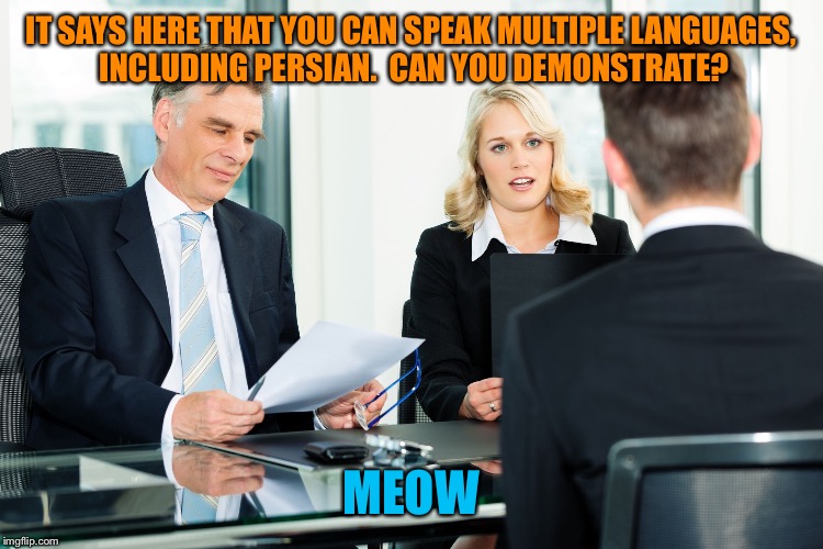job interview | IT SAYS HERE THAT YOU CAN SPEAK MULTIPLE LANGUAGES, INCLUDING PERSIAN.  CAN YOU DEMONSTRATE? MEOW | image tagged in job interview | made w/ Imgflip meme maker