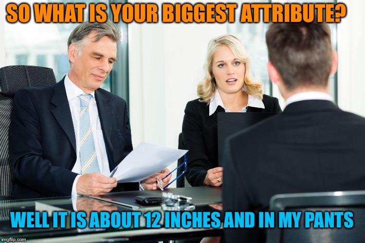 job interview | SO WHAT IS YOUR BIGGEST ATTRIBUTE? WELL IT IS ABOUT 12 INCHES AND IN MY PANTS | image tagged in job interview | made w/ Imgflip meme maker