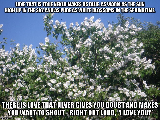 As Warm As the Sun | LOVE THAT IS TRUE NEVER MAKES US BLUE.
AS WARM AS THE SUN HIGH UP IN THE SKY AND AS PURE AS WHITE BLOSSOMS IN THE SPRINGTIME. THERE IS LOVE THAT NEVER GIVES YOU DOUBT AND MAKES YOU WANT TO SHOUT -
RIGHT OUT LOUD, “I LOVE YOU!” | image tagged in love,thesun,spring | made w/ Imgflip meme maker