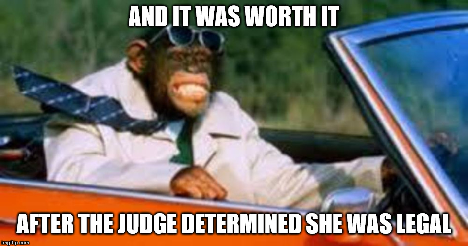 Monkey driver | AND IT WAS WORTH IT AFTER THE JUDGE DETERMINED SHE WAS LEGAL | image tagged in monkey driver | made w/ Imgflip meme maker