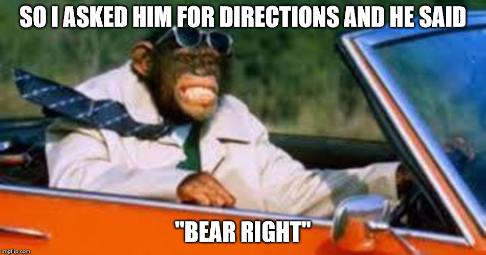 Monkey driver | SO I ASKED HIM FOR DIRECTIONS AND HE SAID "BEAR RIGHT" | image tagged in monkey driver | made w/ Imgflip meme maker