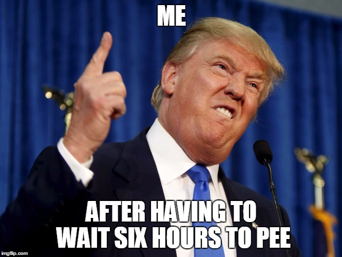 I guess I'll have to use those Mexican bushes... |  ME; AFTER HAVING TO WAIT SIX HOURS TO PEE | image tagged in angry trump,memes | made w/ Imgflip meme maker