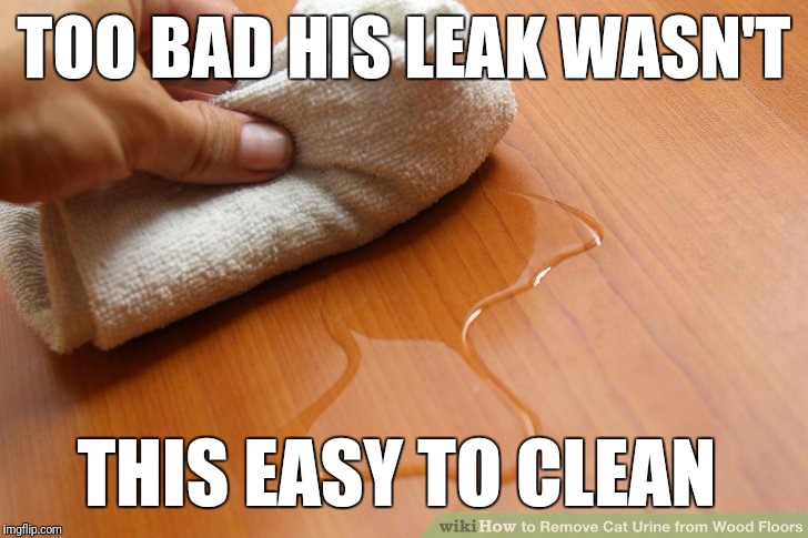 TOO BAD HIS LEAK WASN'T THIS EASY TO CLEAN | made w/ Imgflip meme maker