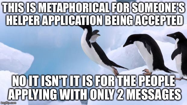 flying penguin | THIS IS METAPHORICAL FOR SOMEONE'S HELPER APPLICATION BEING ACCEPTED; NO IT ISN'T IT IS FOR THE PEOPLE APPLYING WITH ONLY 2 MESSAGES | image tagged in flying penguin | made w/ Imgflip meme maker