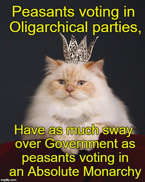 The US isn't a democracy, but the Green Party is. #GreenRevolution | Peasants voting in Oligarchical parties, Have as much sway over Government as peasants voting in an Absolute Monarchy | image tagged in the-queen-cat,green party,revolution,democrats,republicans,politics | made w/ Imgflip meme maker