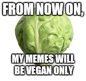 Sprout Wisdom | FROM NOW ON, MY MEMES WILL BE VEGAN ONLY | image tagged in sprout wisdom | made w/ Imgflip meme maker