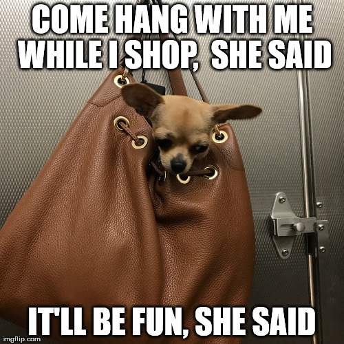 shop | COME HANG WITH ME WHILE I SHOP, 
SHE SAID; IT'LL BE FUN, SHE SAID | image tagged in i'm just hanging | made w/ Imgflip meme maker