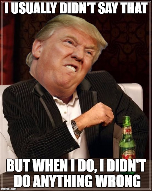 I didn't say that | I USUALLY DIDN'T SAY THAT; BUT WHEN I DO, I DIDN'T DO ANYTHING WRONG | image tagged in trump,meme,xx,memes,lmao | made w/ Imgflip meme maker