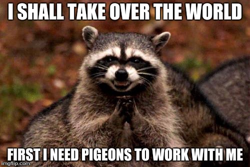 Evil Plotting Raccoon Meme | I SHALL TAKE OVER THE WORLD; FIRST I NEED PIGEONS TO WORK WITH ME | image tagged in memes,evil plotting raccoon | made w/ Imgflip meme maker