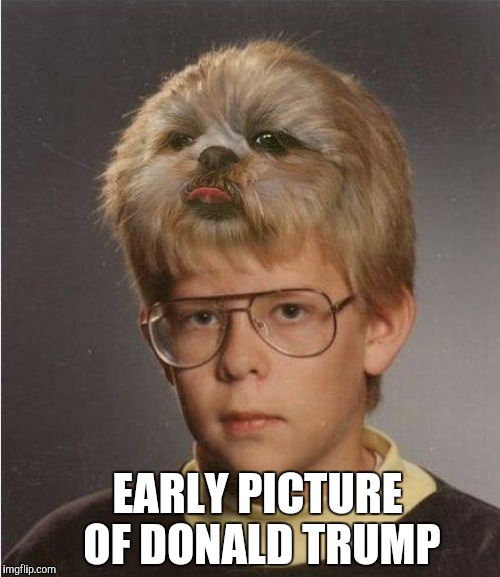 I never realized he wore glasses as a child  | EARLY PICTURE OF DONALD TRUMP | image tagged in donald trump,trump,trump hair,jbmemegeek | made w/ Imgflip meme maker