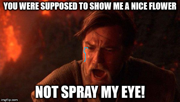 aniklown | YOU WERE SUPPOSED TO SHOW ME A NICE FLOWER; NOT SPRAY MY EYE! | image tagged in memes,you were the chosen one star wars | made w/ Imgflip meme maker