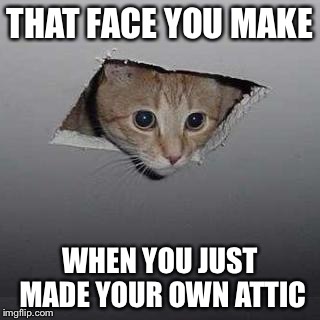 THAT FACE YOU MAKE WHEN YOU JUST MADE YOUR OWN ATTIC | made w/ Imgflip meme maker
