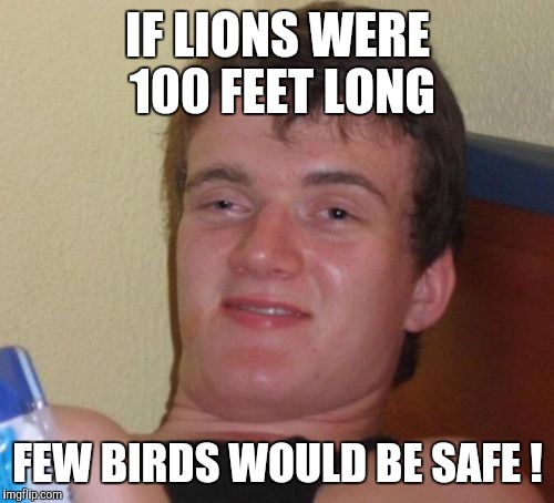 Now, follow my logic... | IF LIONS WERE 100 FEET LONG; FEW BIRDS WOULD BE SAFE ! | image tagged in memes,10 guy | made w/ Imgflip meme maker
