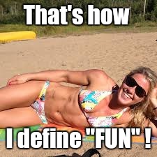 Memes | That's how I define "FUN" ! | image tagged in memes | made w/ Imgflip meme maker