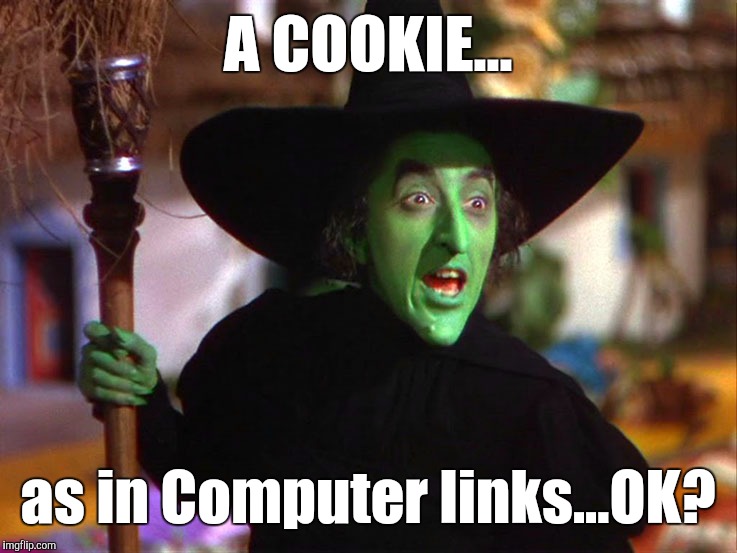 The Wicked Witch Likes GIRL SCOUT COOKIES ? | A COOKIE... as in Computer links...OK? | image tagged in memes | made w/ Imgflip meme maker