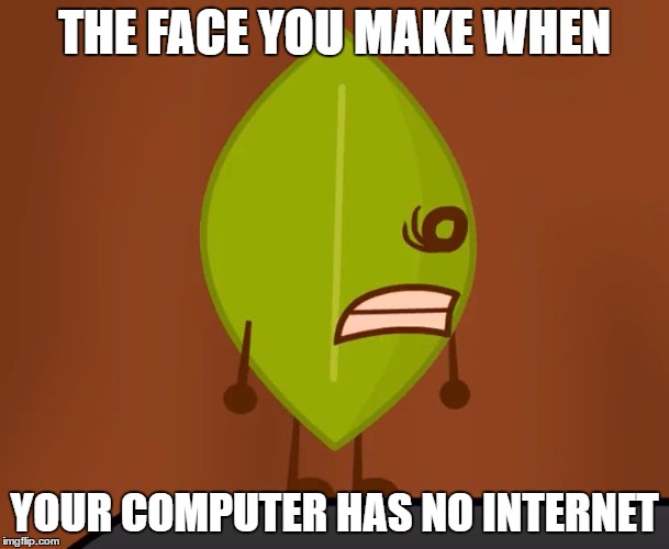 BFDI "Wat" Face |  THE FACE YOU MAKE WHEN; YOUR COMPUTER HAS NO INTERNET | image tagged in bfdi wat face | made w/ Imgflip meme maker